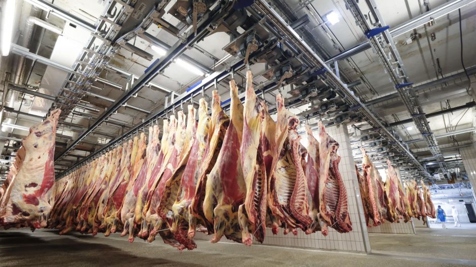 Meat Production